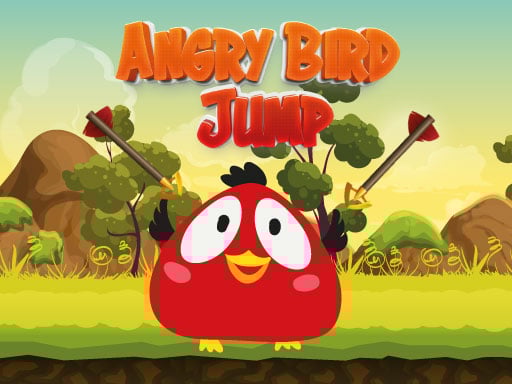 Skyward Jumper 2025