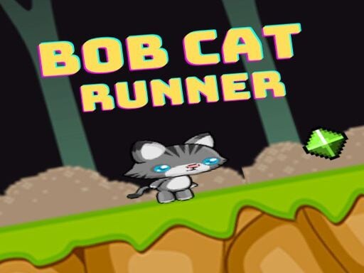 Whisker Dash Adventure v1.5