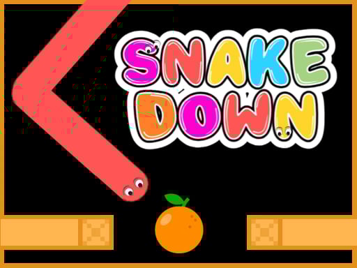 Dive Snake 2025